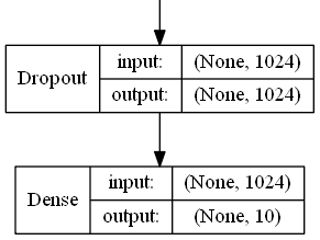Design of top model: Dropout Layer for avoiding overfitting, Dense layer with 10 output classes