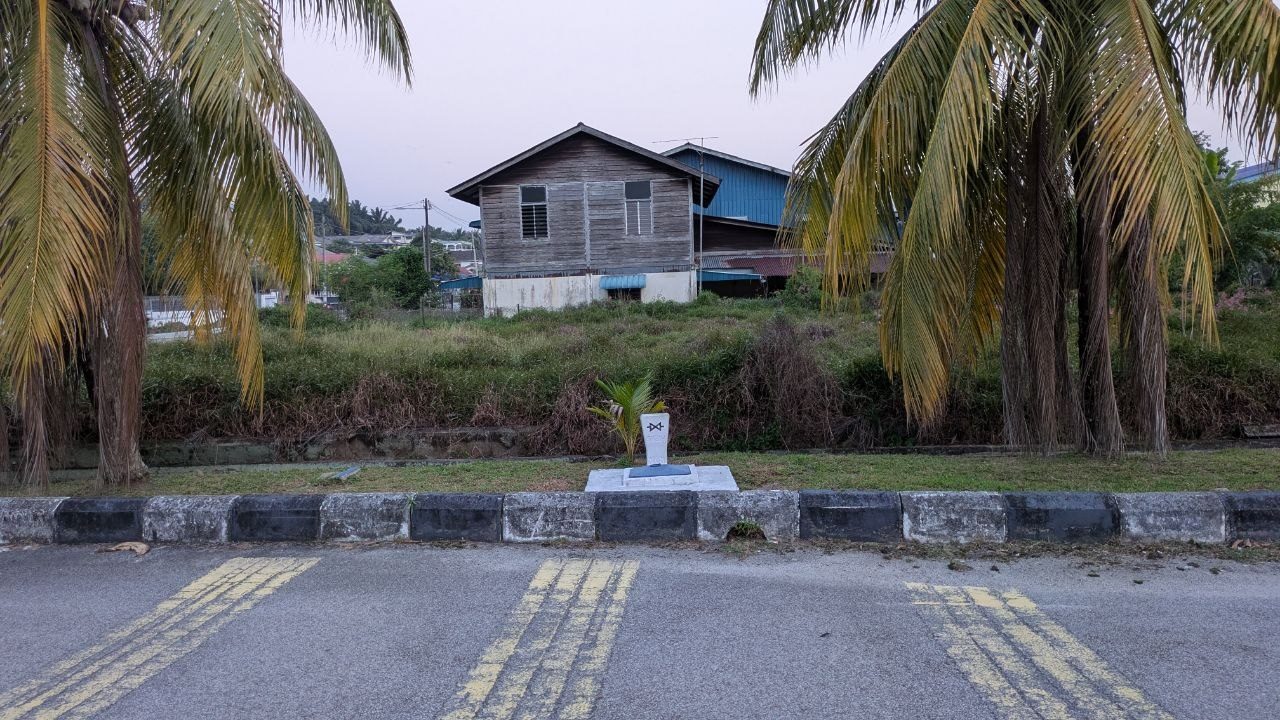 A grey timber house on stilts behind two coconut palms, the road in front.