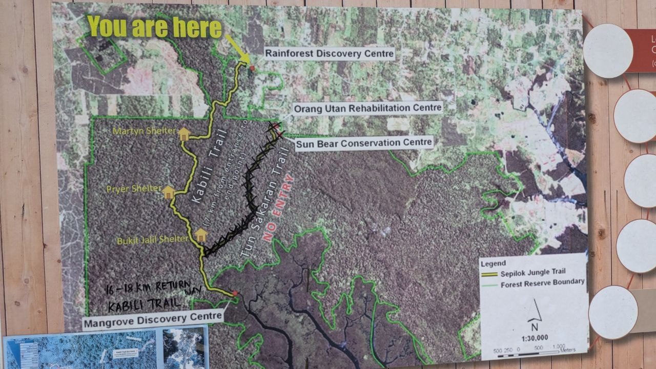 A satellite map of the Sepilok forest reserve at 1:30,000 screwed to a wooden wall; a yellow arrow labelled You are here points at the Rainforest Discovery Centre, the Kabili Trail is drawn in yellow with three shelters, the Tun Sakaran Trail is crossed out and marked NO ENTRY.