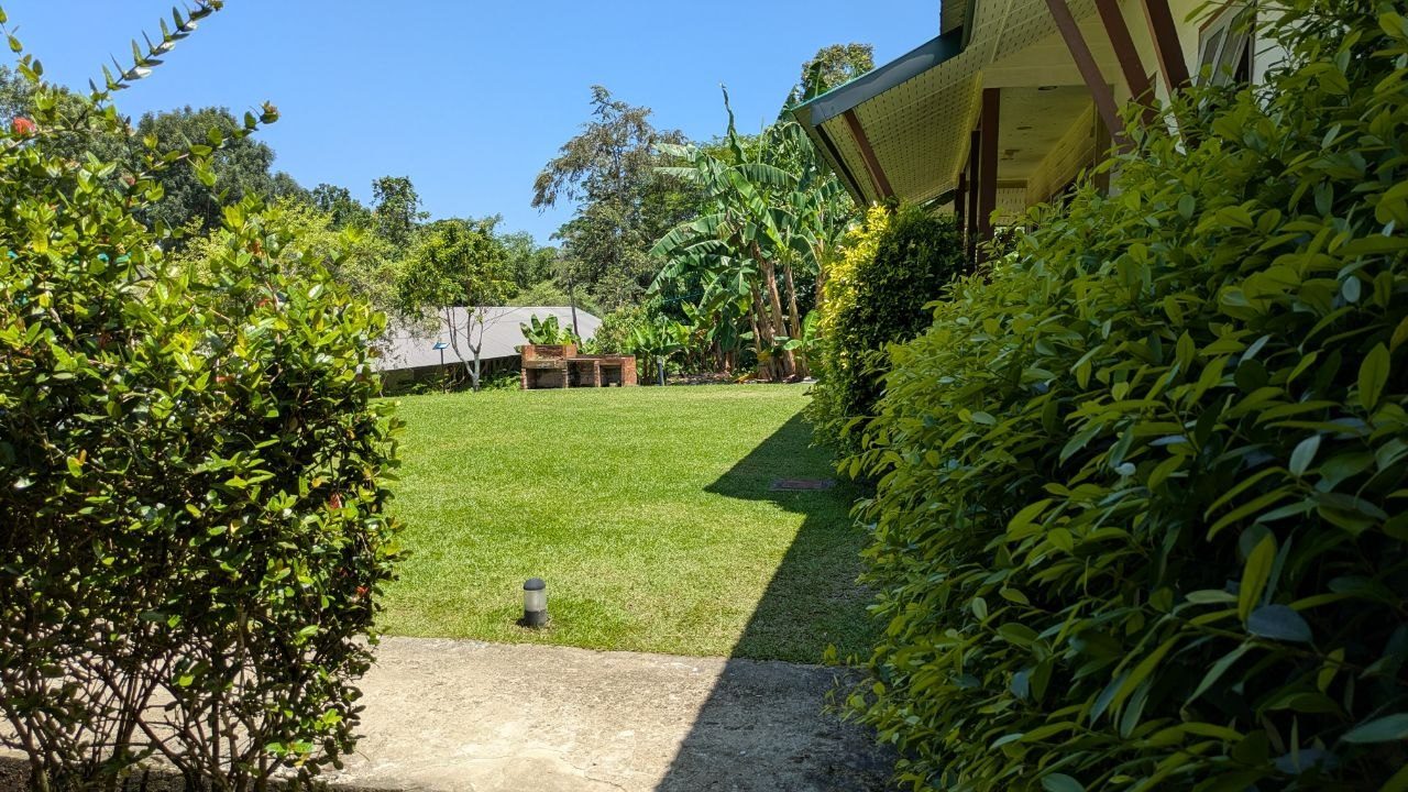 A mown lawn between dense rows of shrubs, on the right the covered walkway of a guest house, in the background banana plants and a brick barbecue under tall rainforest trees, cloudless blue sky above.