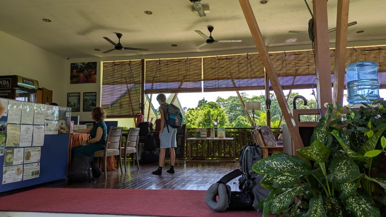 An open reception hall with a wooden floor, ceiling fans and bamboo blinds; on the left the reception counter with notices, in the middle a visitor with a backpack, on the right a water dispenser, in the background a terrace looking into the greenery.
