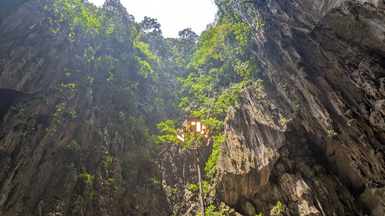 Looking straight up through the opening in the cave ceiling: rock walls, greenery along the rim and a small canopy high up on the edge.