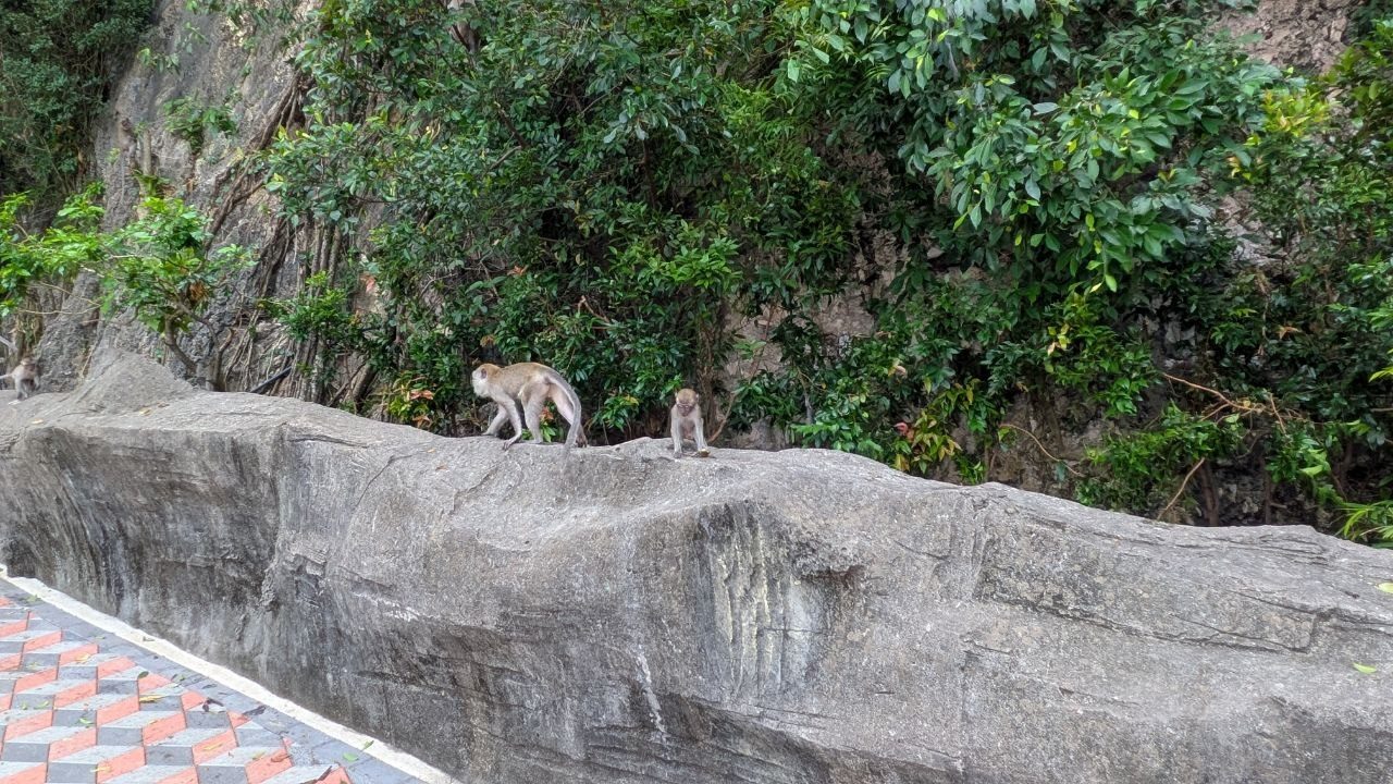 Two macaques on a rock parapet beside the path at Batu Caves, one full-grown and one juvenile, greenery and rock face behind them.
