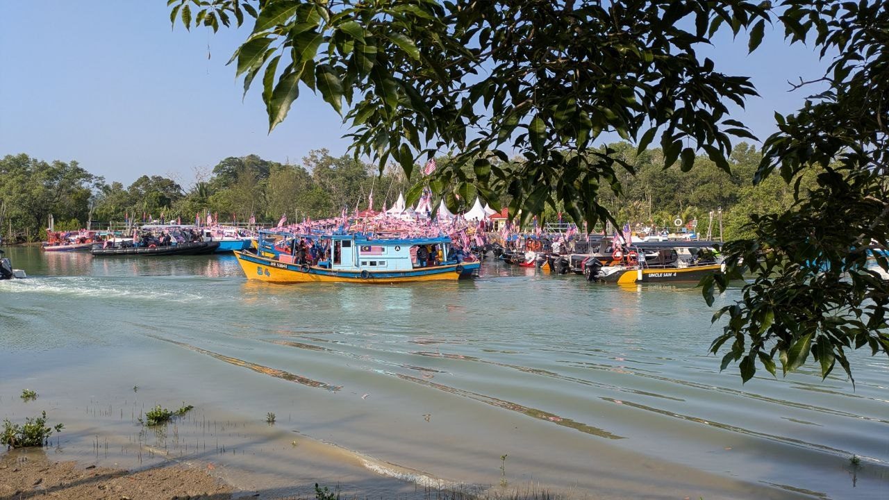 The same scene through the leaves of a tree on the bank, mud and young mangroves in the foreground.