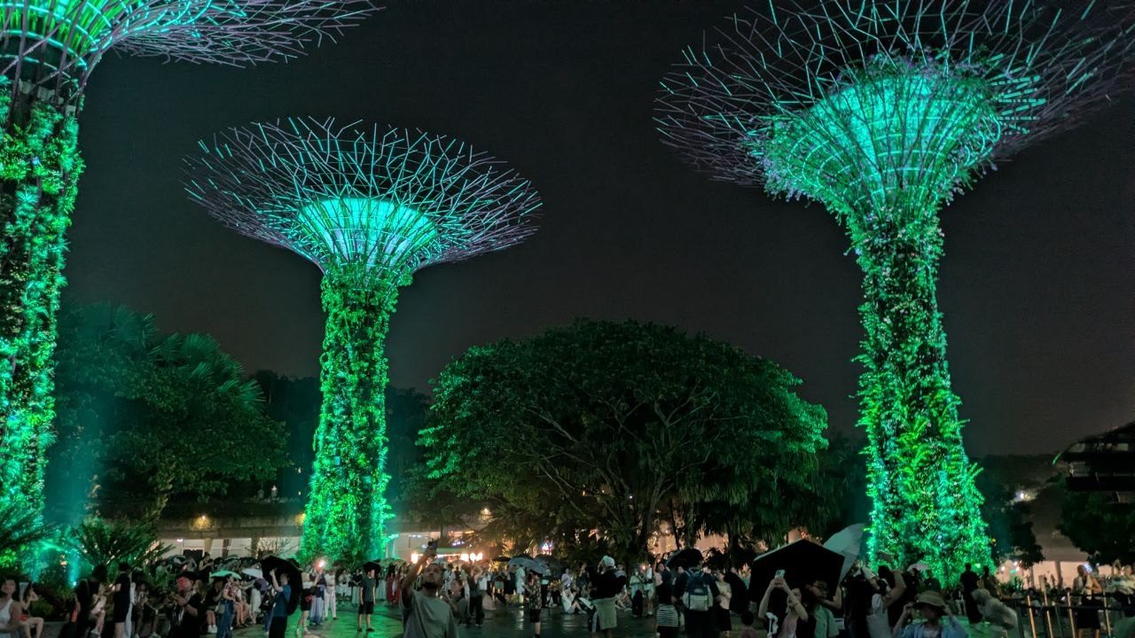 Three Supertrees in green light above the crowd in the Supertree Grove.