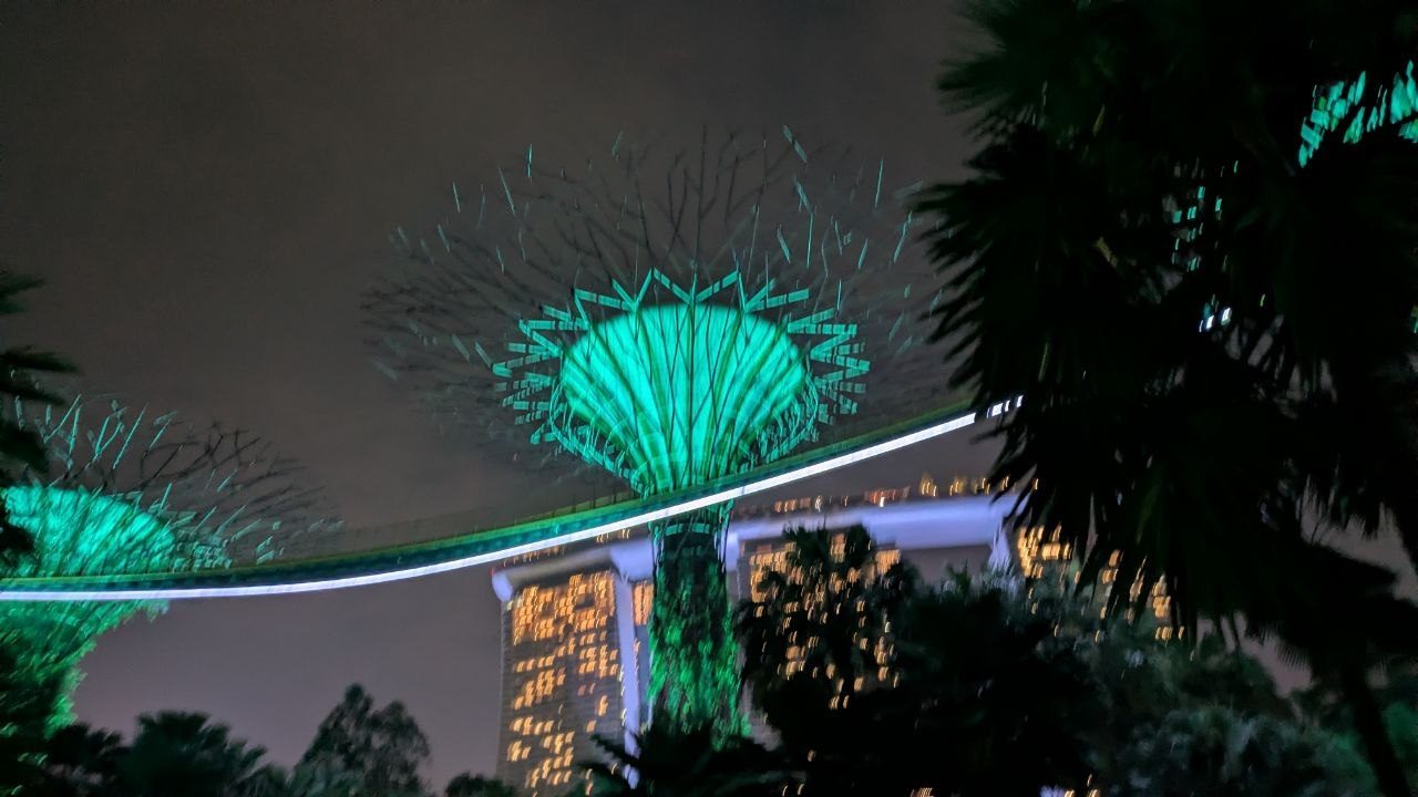 Two Supertrees lit green, with Marina Bay Sands and the illuminated skyway behind them.