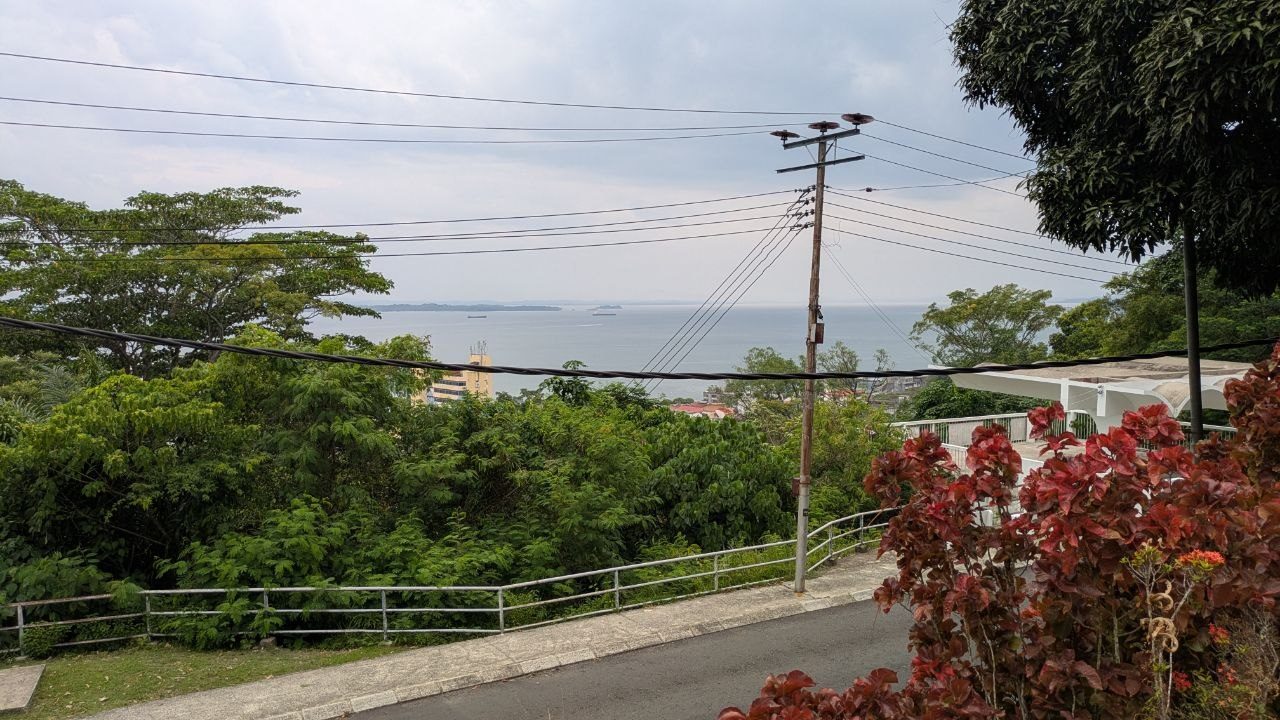 The view from Jalan Istana over treetops onto Sandakan Bay, several cargo ships at anchor in the haze, a railing and a street lamp in the foreground.