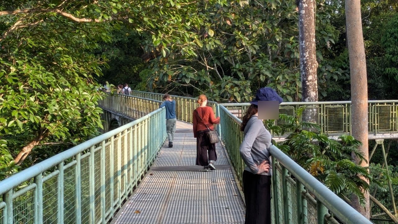 Visitors on the canopy walkway in low afternoon light; in the foreground a person in a hat stands at the railing, further back two people walk along the deck, and a group waits at a junction in the distance.