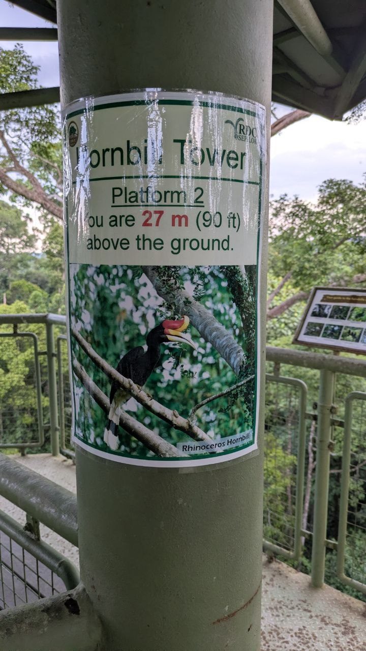 A green-painted support tube on a tower platform carrying a sign that reads Hornbill Tower, Platform 2, You are 27 m (90 ft) above the ground, with a picture of a rhinoceros hornbill; around it a steel grating floor with a wire mesh railing and the forest beyond.