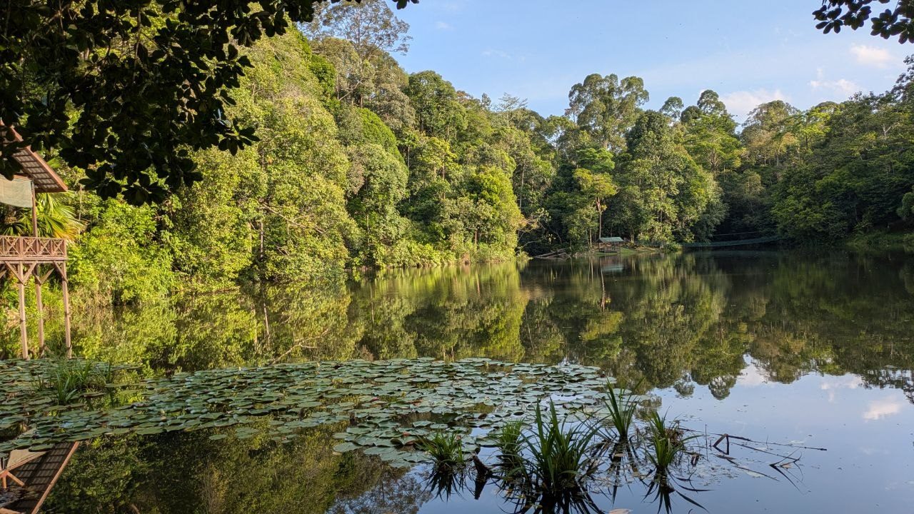 The same lake from slightly further left: a wooden pavilion with a shingled roof juts over the water at the left edge, a broad field of lily pads in front of it, trees and clouds reflected in the water.