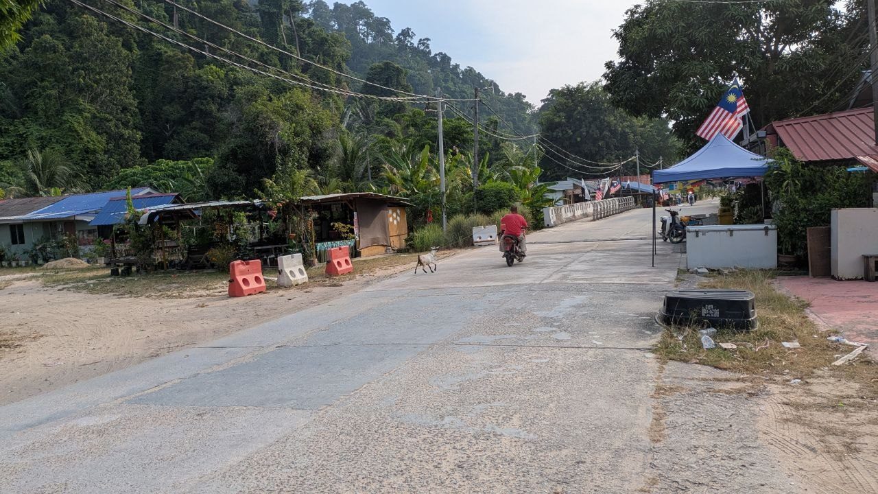 A concrete village road, a scooter riding towards the bridge, a goat crossing, shops under metal roofs on the left and the forested slope behind.