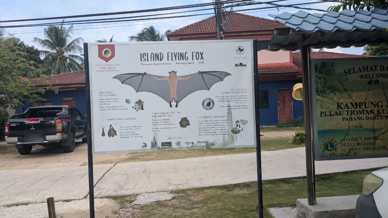 A white information board at the entrance to Juara with a life-size drawing of a flying fox and the heading "Island Flying Fox, Pteropus hypomelanus, Keluang Kecil".