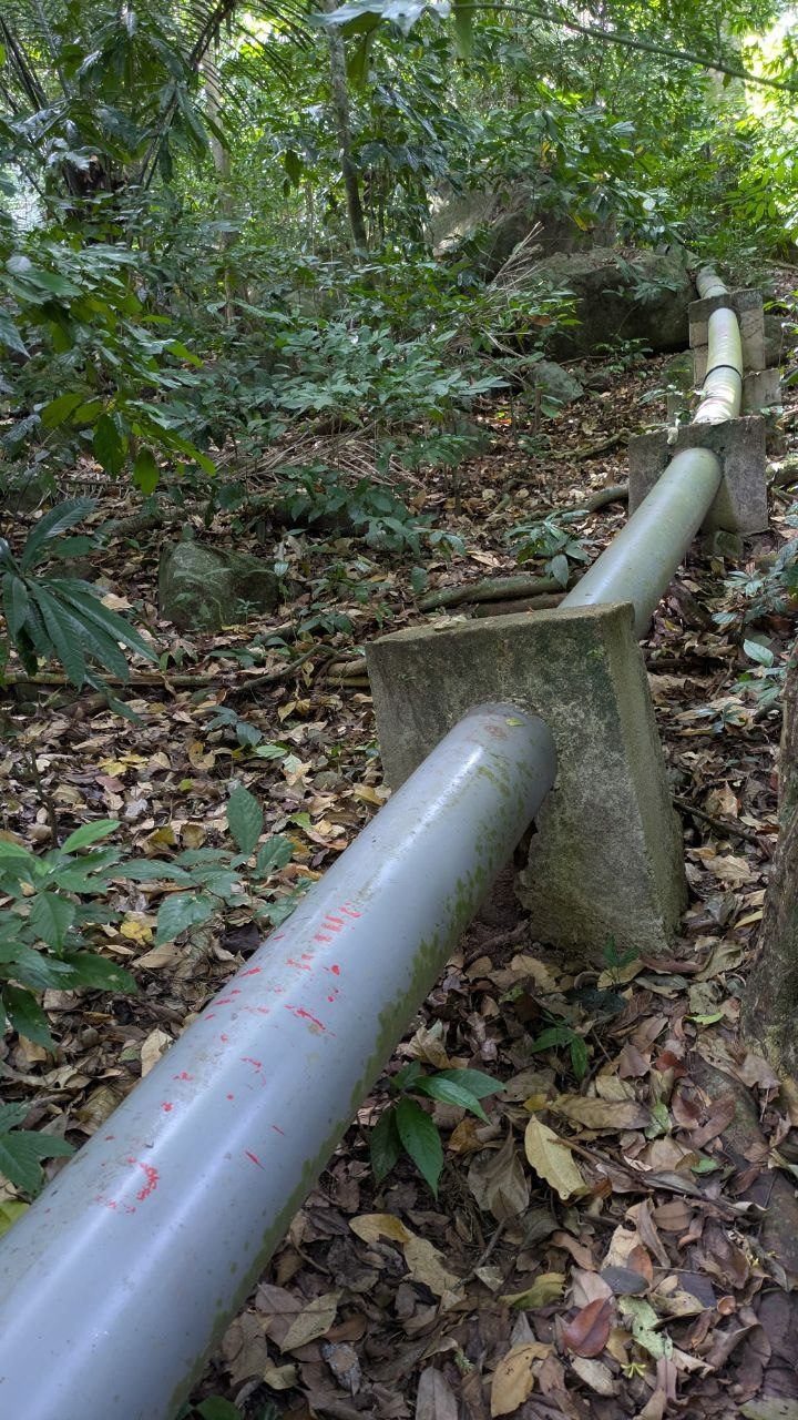 An arm-thick grey plastic pipe running down the forest slope on concrete saddles, splashed with red paint, dry leaves all around.