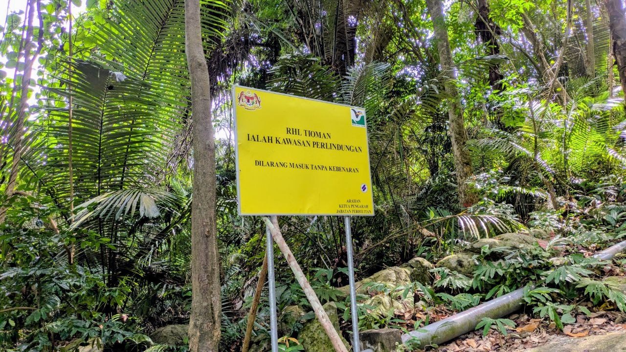A yellow sign on two steel posts at the forest edge bearing the Malaysian coat of arms and the text "RHL Tioman ialah kawasan perlindungan — dilarang masuk tanpa kebenaran"; a grey pipe lies in the leaves at bottom right.