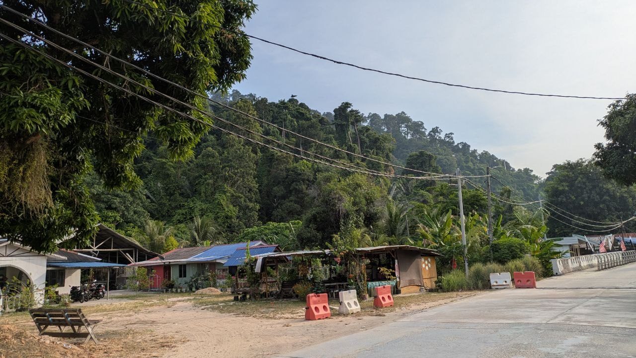 A forested slope directly behind a row of small houses with metal roofs, with sand, benches and power lines in front of them.